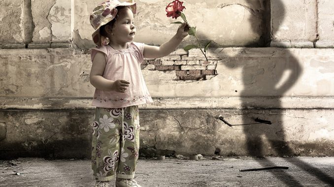 baby-girl-shadow-gift-rose-creative-photo-manipulation-art