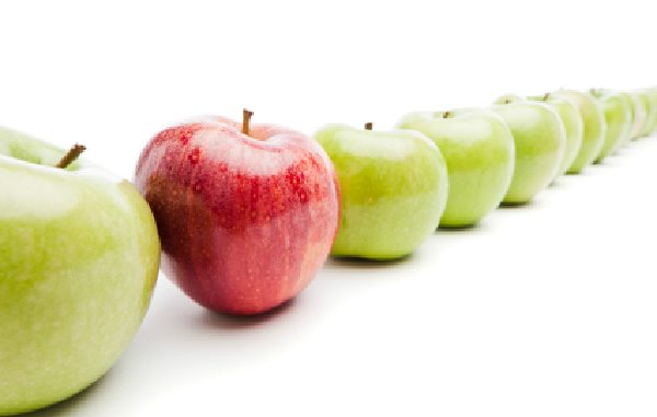 new_istock_000018597440xsmall1