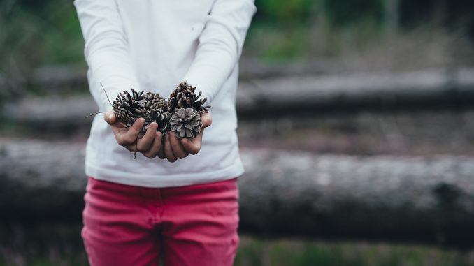 A photo by Annie Spratt. unsplash.com/photos/4kUs15XLHTQ