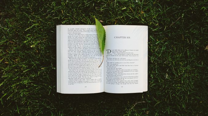 kaboompics_Book on the grass