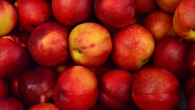 apple-juice-fruit