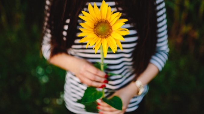 kaboompics_Young couple with sunflower