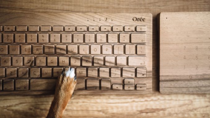 kaboompics_Dogs paw on the wooden keyboard