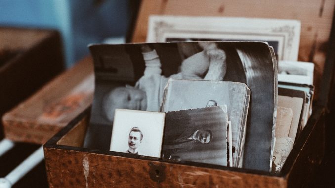 roman-kraft-60298-unsplash