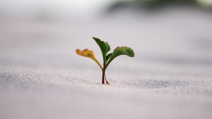 jeremy-bishop-vGjGvtSfys4-unsplash